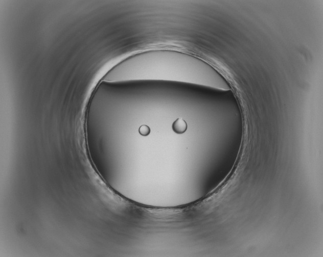 X0000111361200200907100949
