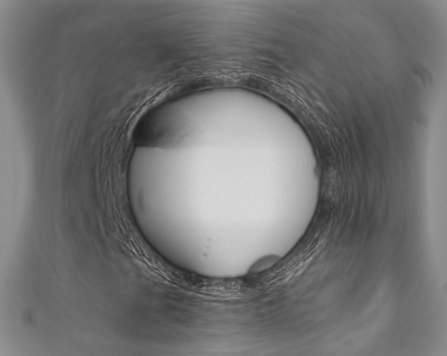 X0000111361201200907100948