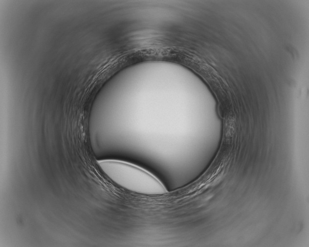 X0000111361202200907100948