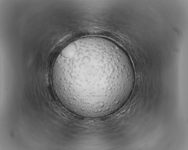 X0000111361205200907100948
