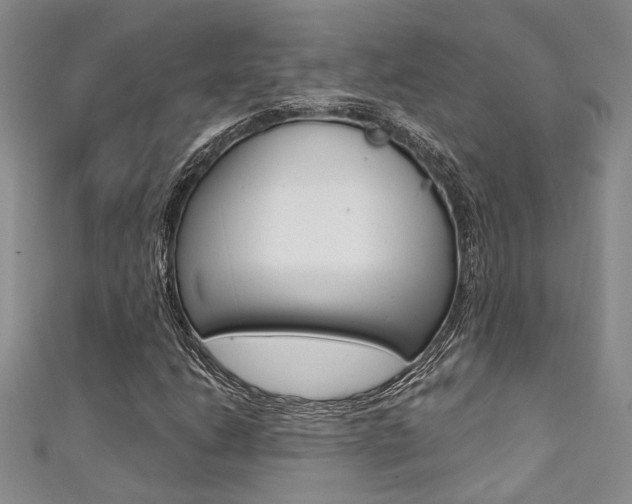 X0000111361206200907100948