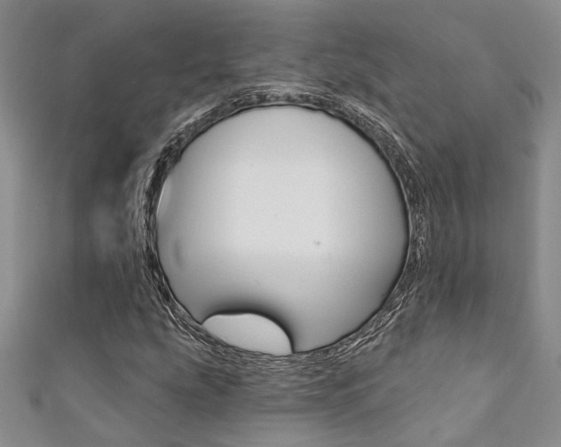 X0000111361207200907100948