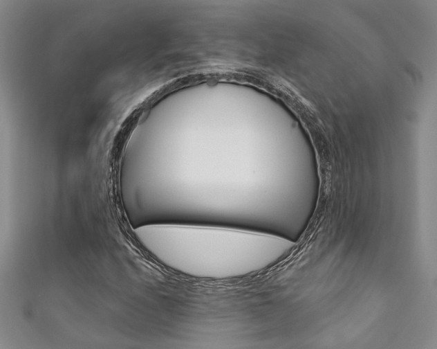 X0000111361208200907100949