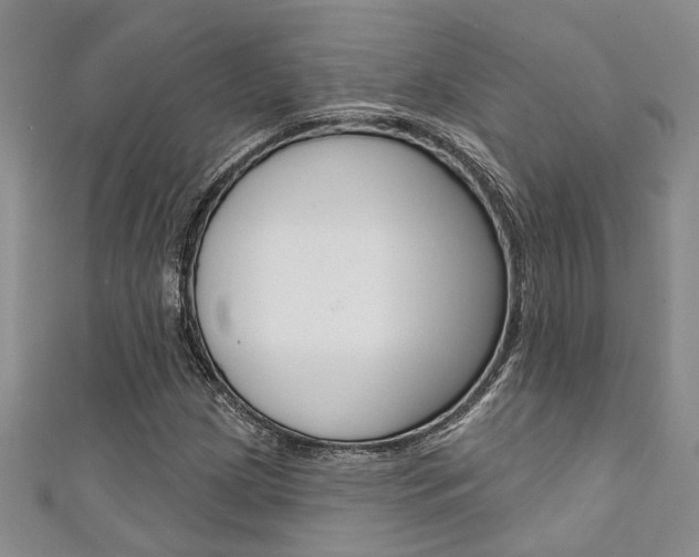 X0000111361209200907100949