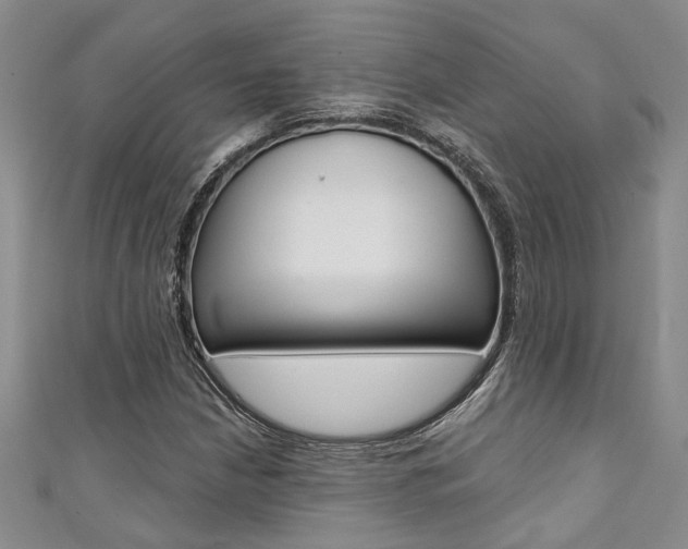 X0000111361210200907100949