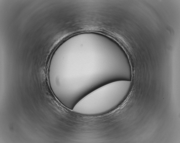 X0000111361212200907100949