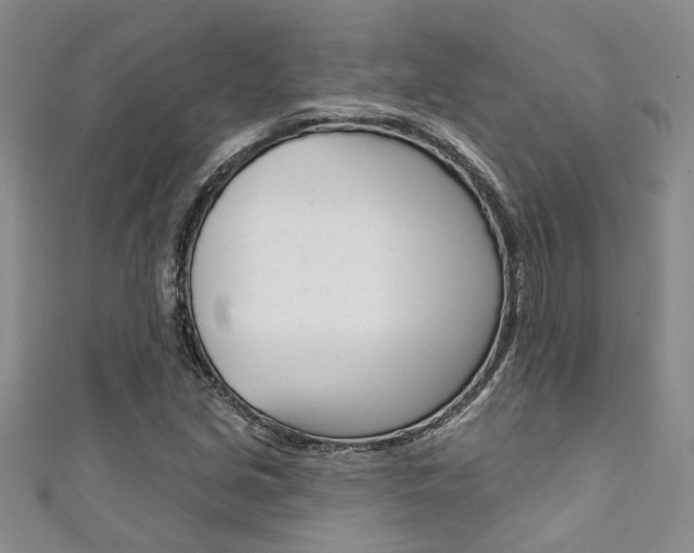 X0000111361213200907100949