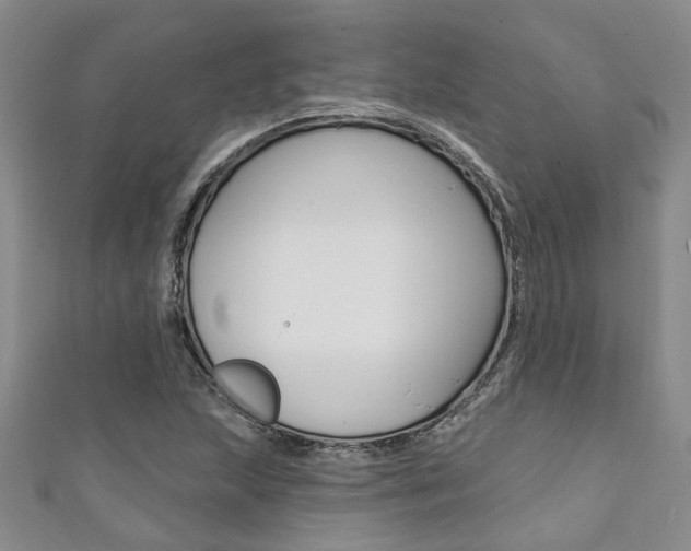 X0000111361215200907100949