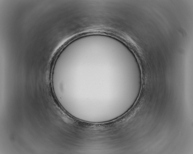 X0000111361216200907100949