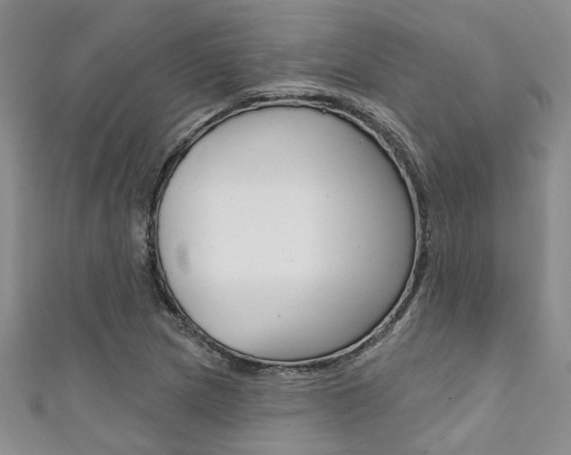X0000111361217200907100949