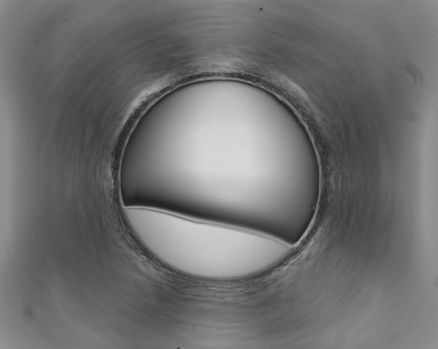 X0000111361218200907100949
