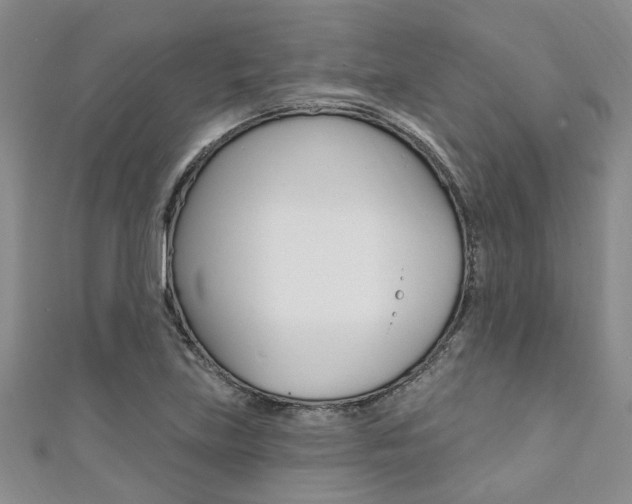 X0000111361219200907100949