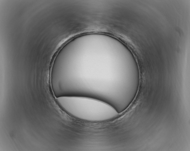 X0000111361220200907100949