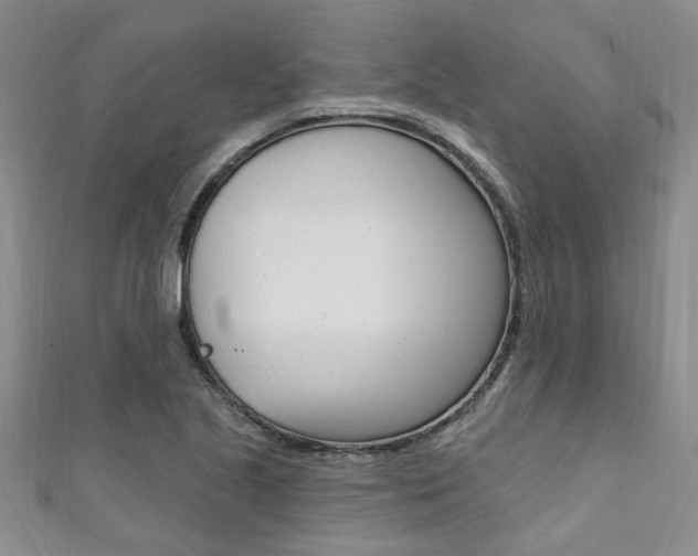 X0000111361221200907100949