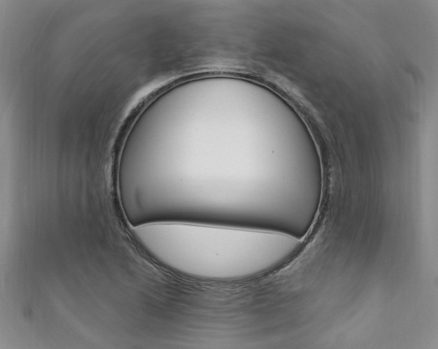 X0000111361222200907100949