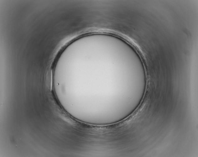 X0000111361223200907100949