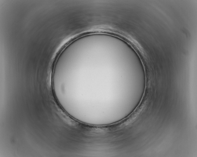 X0000111361224200907100949