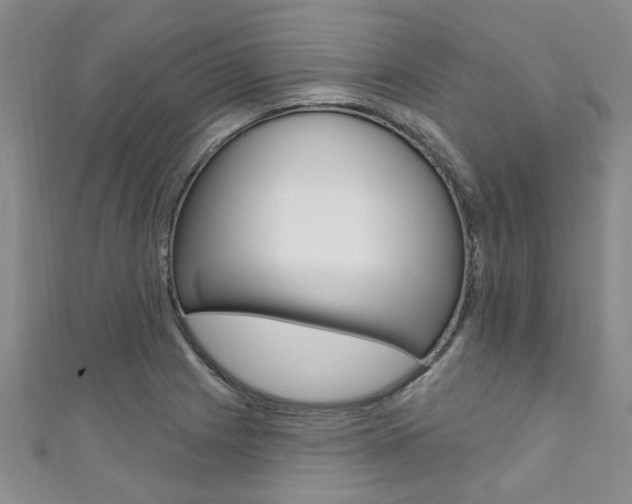 X0000111361225200907100949