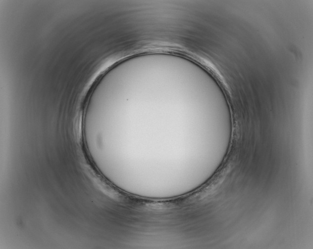X0000111361227200907100949