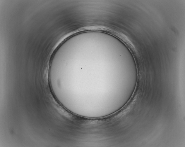 X0000111361228200907100949