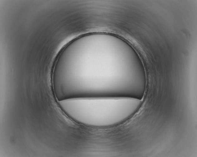 X0000111361230200907100949