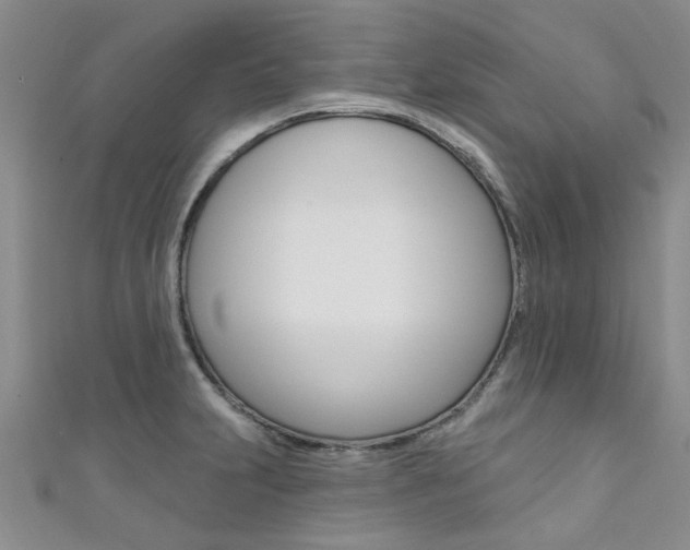 X0000111361231200907100949