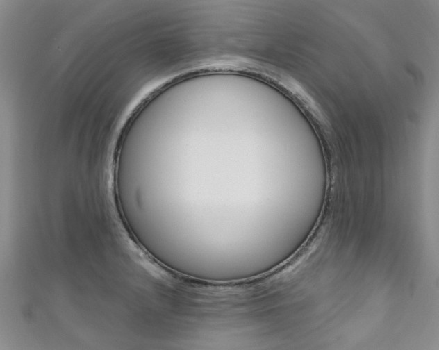 X0000111361232200907100949