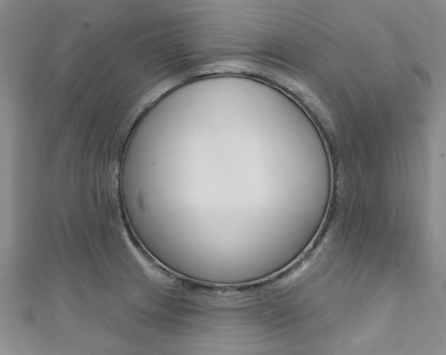 X0000111361233200907100949