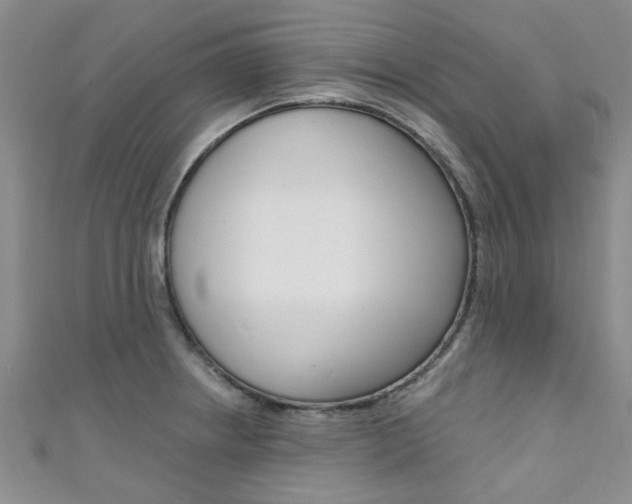X0000111361234200907100949