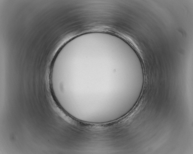 X0000111361235200907100949
