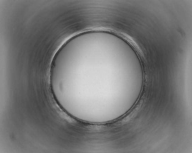 X0000111361236200907100949