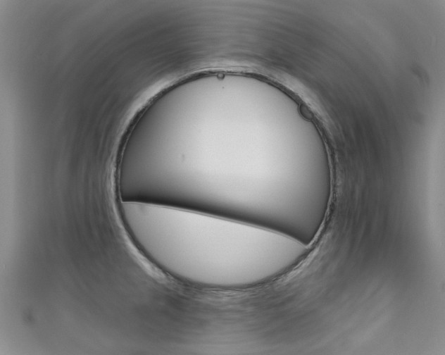 X0000111361237200907100949