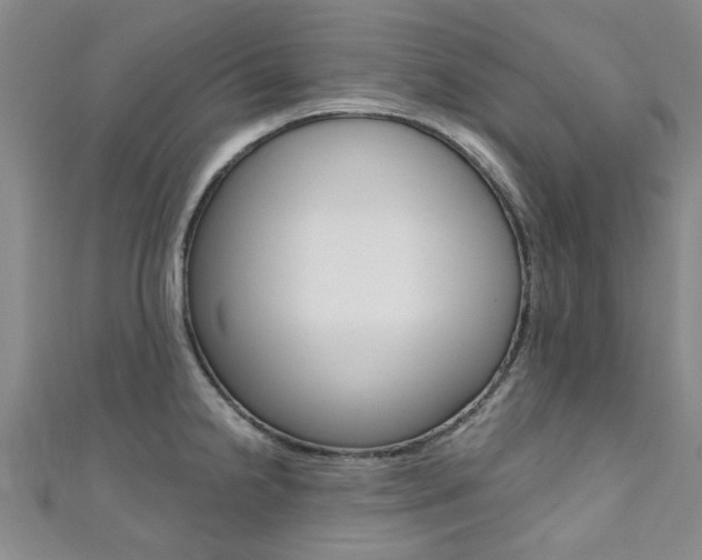 X0000111361238200907100949