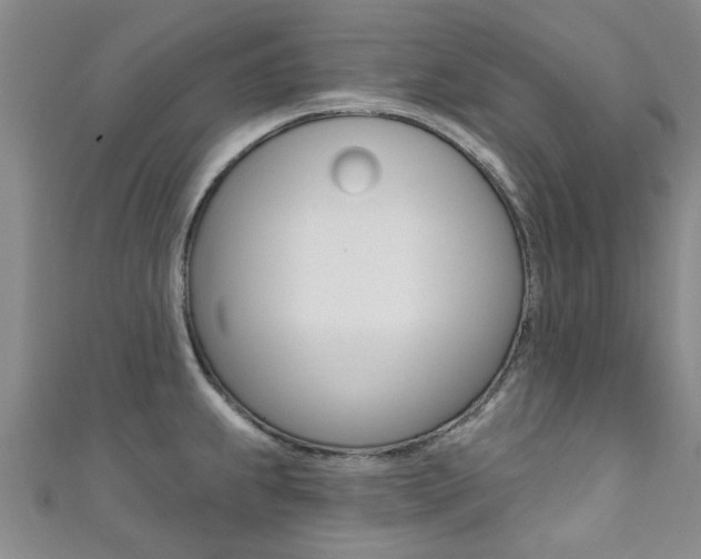 X0000111361239200907100949