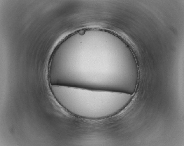 X0000111361240200907100949