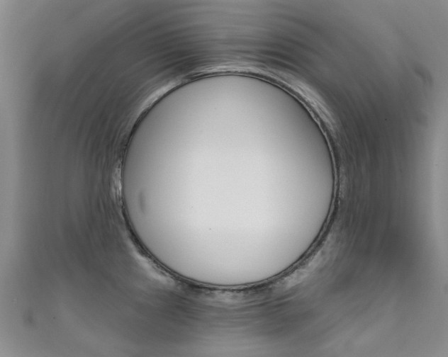 X0000111361241200907100949