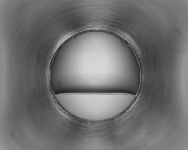 X0000111361242200907100949
