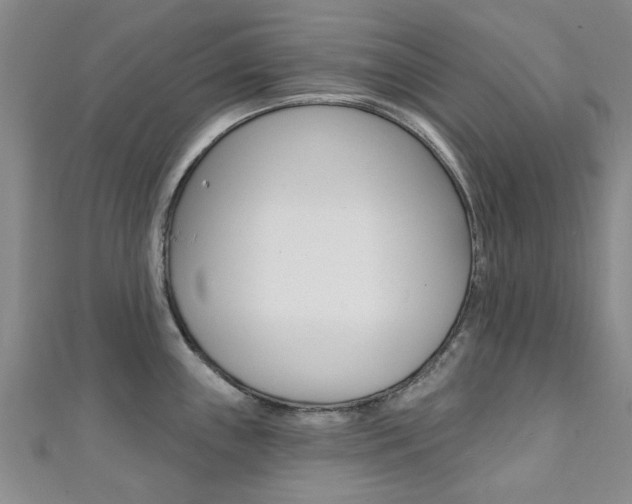 X0000111361243200907100949
