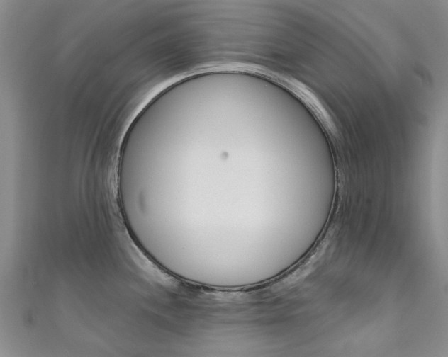 X0000111361244200907100949