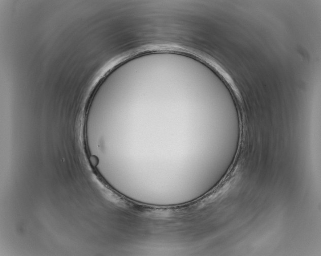 X0000111361245200907100949