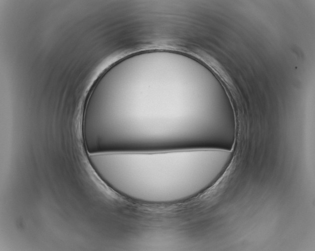X0000111361246200907100949