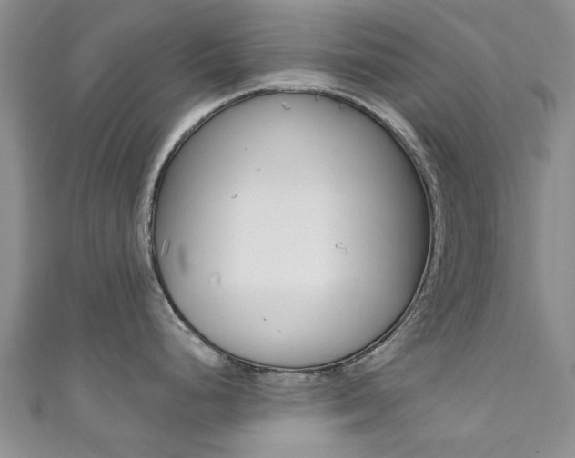 X0000111361248200907100949