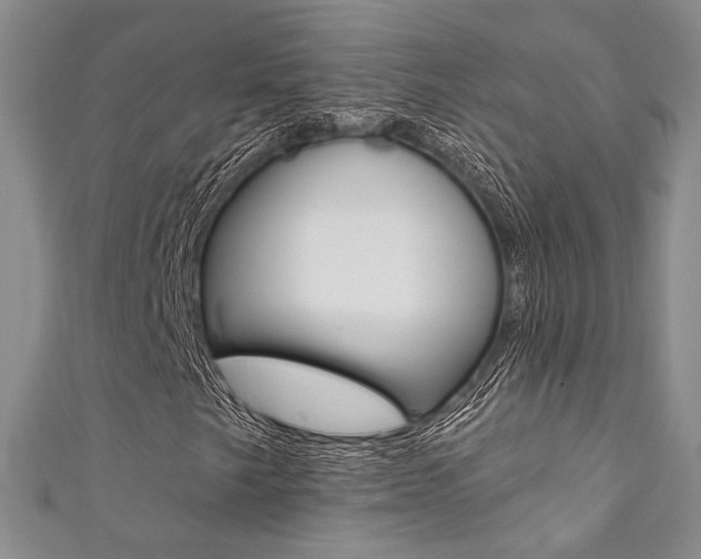 X0000111361249200907100948