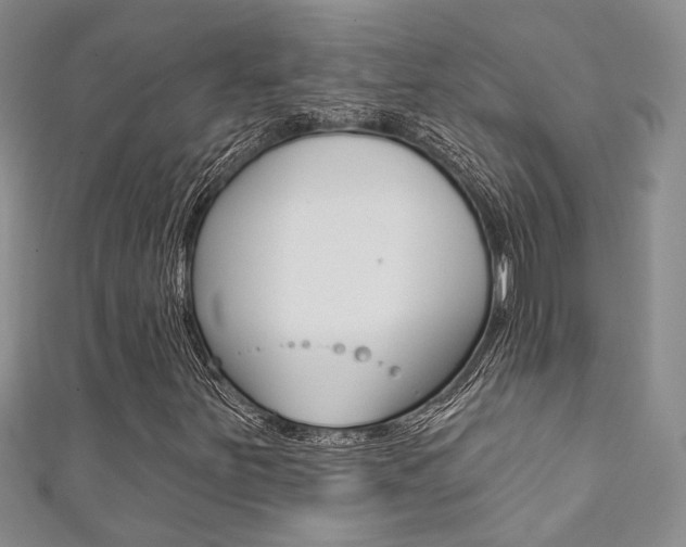 X0000111361251200907100948