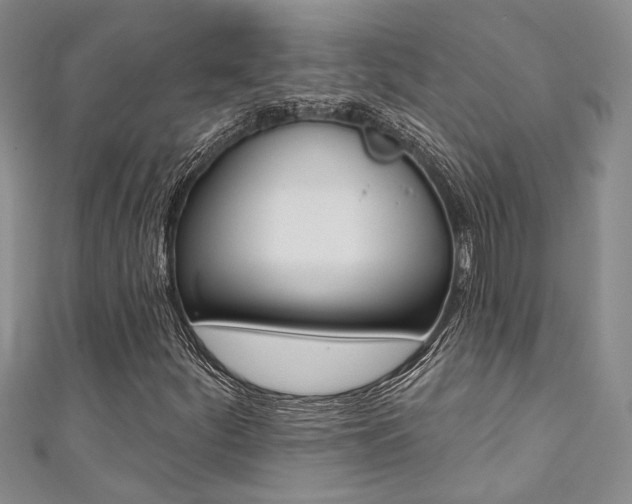 X0000111361252200907100948