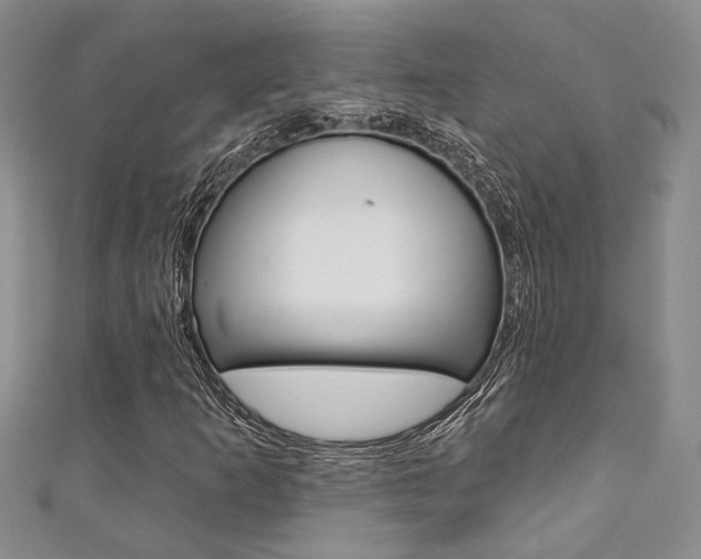 X0000111361253200907100948