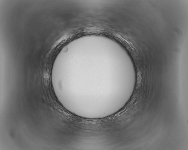 X0000111361254200907100948