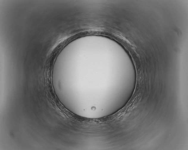 X0000111361255200907100948