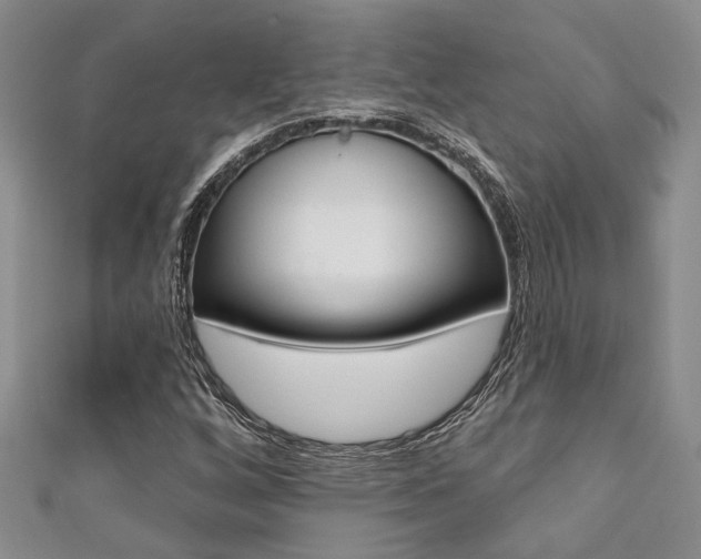 X0000111361256200907100948