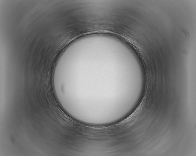 X0000111361257200907100948